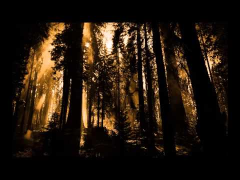 Oes Galliath - Cris D'aveugle