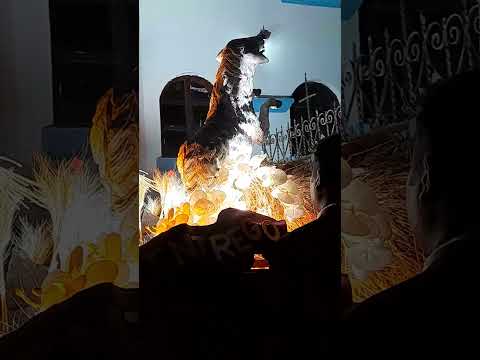 milagroso señor de esquipulas #chiquimula#viral