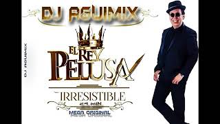 Download lagu Enganchados del rey pelusa mp3