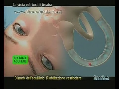 Congiunta della colonna vertebrale ernia Displasia della forma dellanca
