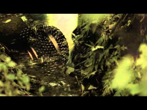 download lagu mp3 mp4 Flammenaar, download lagu Flammenaar gratis, unduh video klip Flammenaar