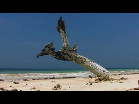 Long Island | India Tourism Guide