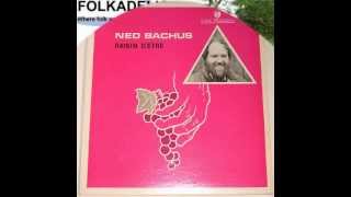 NED BACHUS - Let Us Eat Lettuce (The Vegetarian Fight Song)