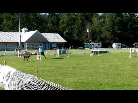 Kaylin Jumpers 1 Aug11