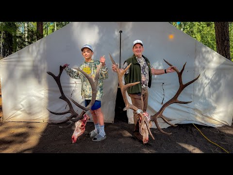 TWO GIANT BULLS IN 24 HOURS | HUSH 4K HUNT FILM |