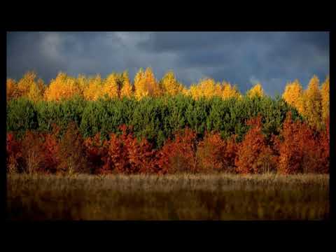 Gražiausios spalvos - Palangos Stasio Vainiūno meno mokyklos choras