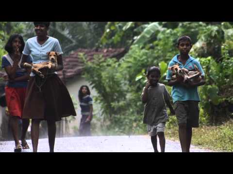 VIER PFOTEN în jurul lumii