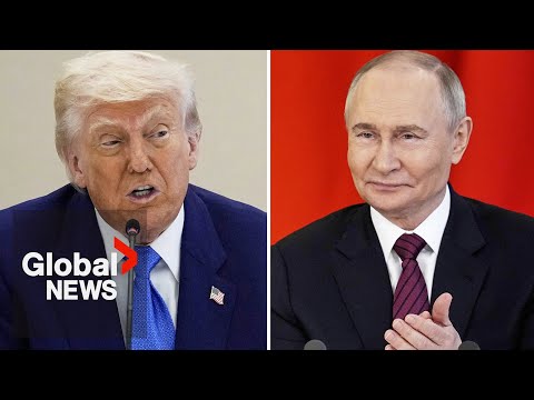 普京同意特朗普就和平建議與烏克蘭合作 (Putin agrees with Trump to work with Ukraine on peace proposal)