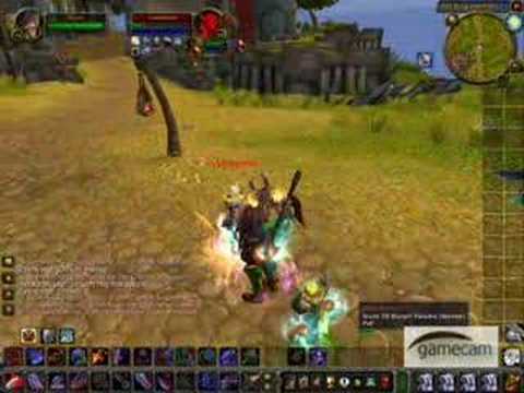 Shaman Windfury/Stormstrike Progs