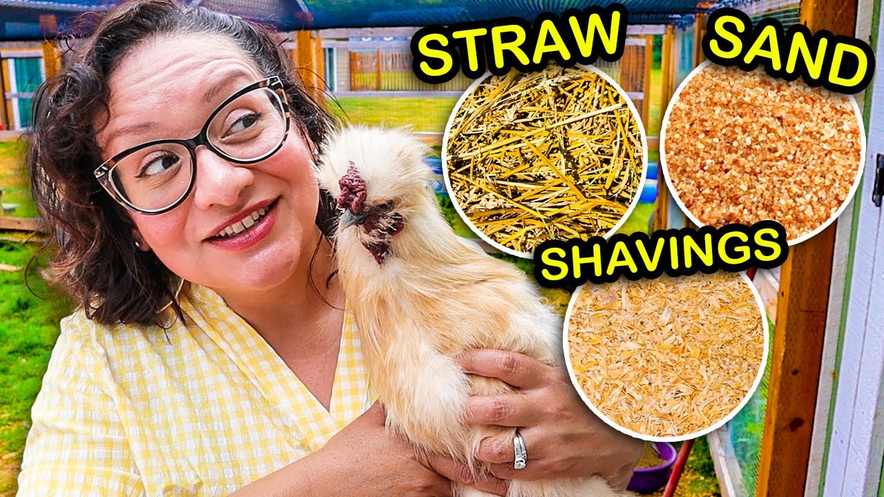 The BEST Chicken Bedding for YOUR Flock