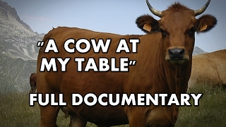 A Cow At My Table