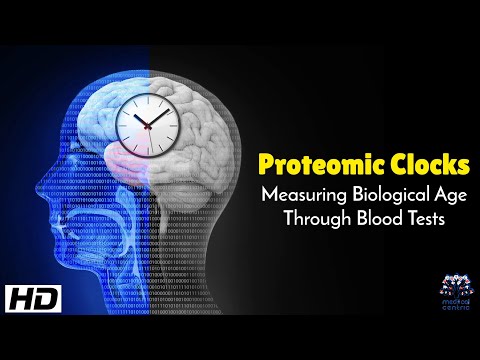 Proteomic Clocks : Measuring Biological Age Through Blood Tests