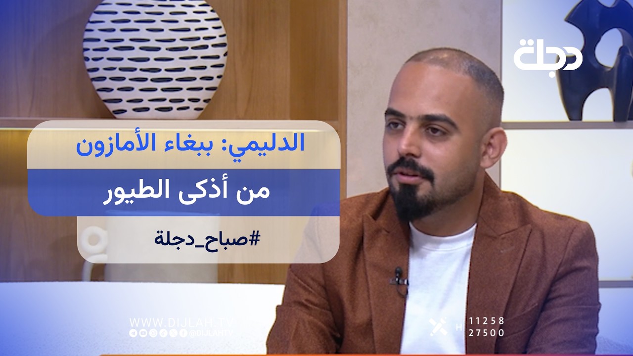 فيديو | "قدراته الذهنية توازي طفلا بعمر 7 سنوات" .. عمر الدليمي: ببغاء الأمازون من أذكى الطيور