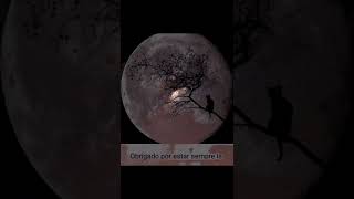 Download lagu John Adams 🎶♪♪ ♫★☆♬ Believe mp3 Download lagu John Adams 🎶♪♪ ♫★☆♬ Believe mp3