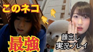～1人の女の子を絶望に追いやった猫～【顔出し】428封鎖された渋谷でpart29【実況プレイ】