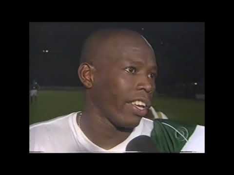 Palmeiras 1 x 3 Fluminense - Torneio Rio-São Paulo 2001
