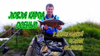 Где ловится карп в ленинградской области