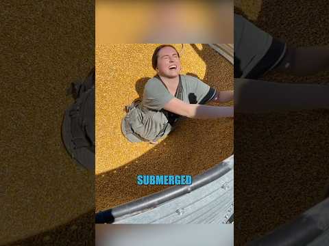 How to save someone in a grain silo