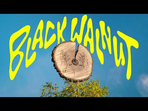 SHEBAD - Black Walnut (Official Video)