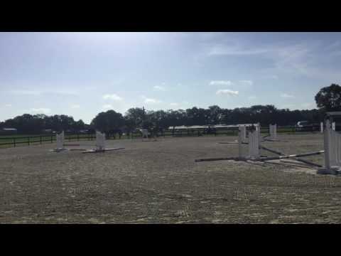 One Cool Dude • First Show • Rocking Horse • 6/24/17