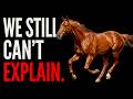 Nothing About Secretariat Was Normal Here S Why