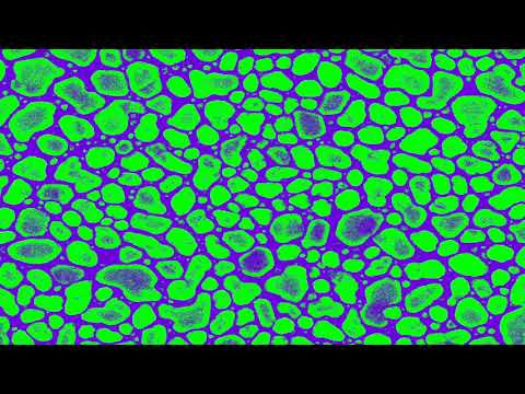 SPK SrO Ossido Di Stronzio