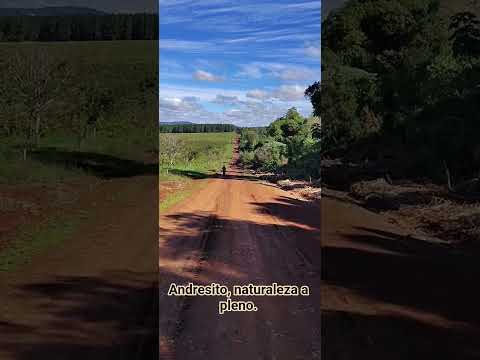 Andresito Misiones