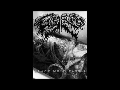 GregFilth (Featuring DayFilth on vocals)  - TRASH