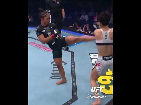 UFC video artwork