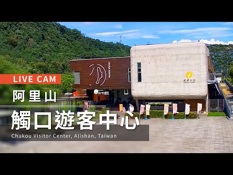 National Scenic Area Administration in Alishan, Taiwan｜-Alishan - 全景
