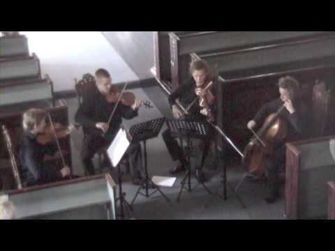 Quartetto Testosterone - Gaathaug: String Quartet No. 2 - 2nd Movement