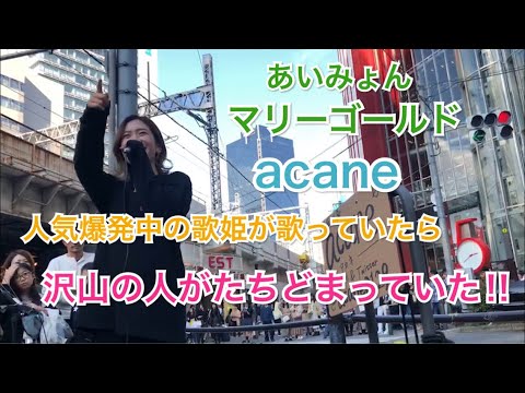 【人気爆発中‼︎】話題の女性シンガーが歌っていたら、凄い人が立ち止まっていた‼︎マリーゴールド（acane 大阪路上）@acanechannel6604