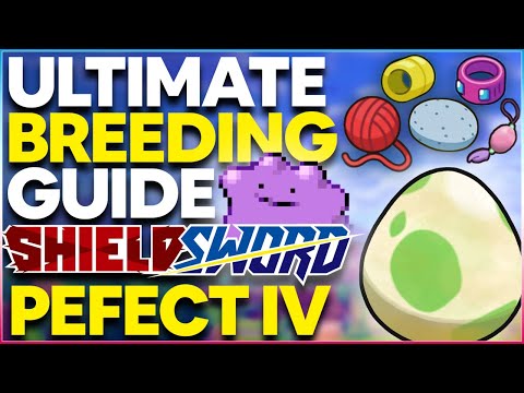 The ULTIMATE BREEDING GUIDE for Pokemon Sword & Shield! PERFECT IV Pokemon and BEST Natures!