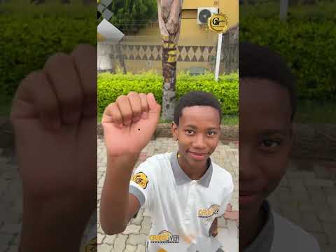 Prophet Cedric Ministries