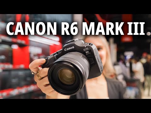 Miniatura del v&iacute;deo