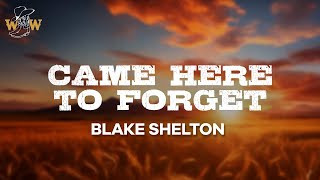 Blake Shelton - Came Here to Forget (Lyrics)