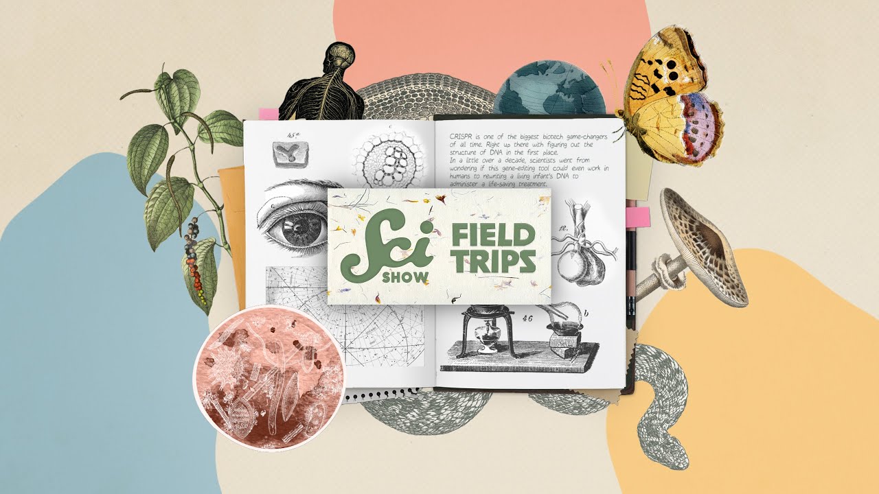 New Series SciShow: Field Trips Drops TOMORROW!