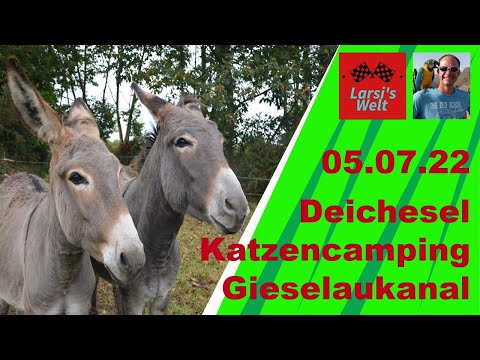 05.07.22 Deichesel, Katzencamping, Gieselaukanal