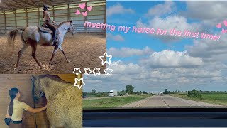 Meeting My Horse for the First Time | My Wish Series | Ep 2