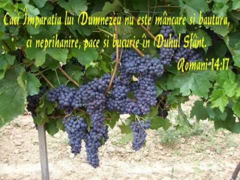 MUZICA CRESTINA - Hava Maranatha - Pe pamant nu-i bucurie