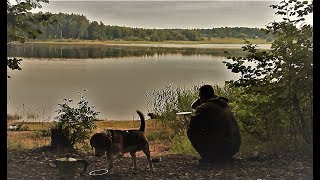 Рыбалка с ромарио агро 2019