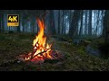 4K Campfire In Foggy Forest By The River 100 Authentic Sounds