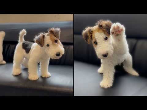 Они точно настоящие?