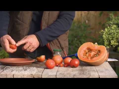 , title : 'Comment récolter, conserver, récupérer puis planter des graines de tomate et de courge ?'