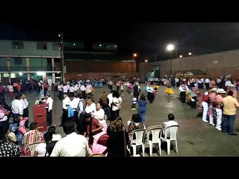 Pinquillada moho 2019 SJL