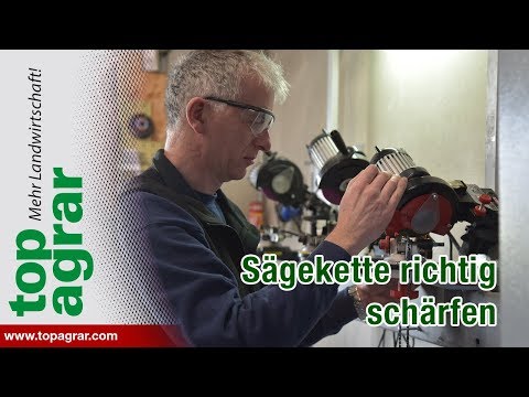 Tip: How to properly sharpen a saw chain