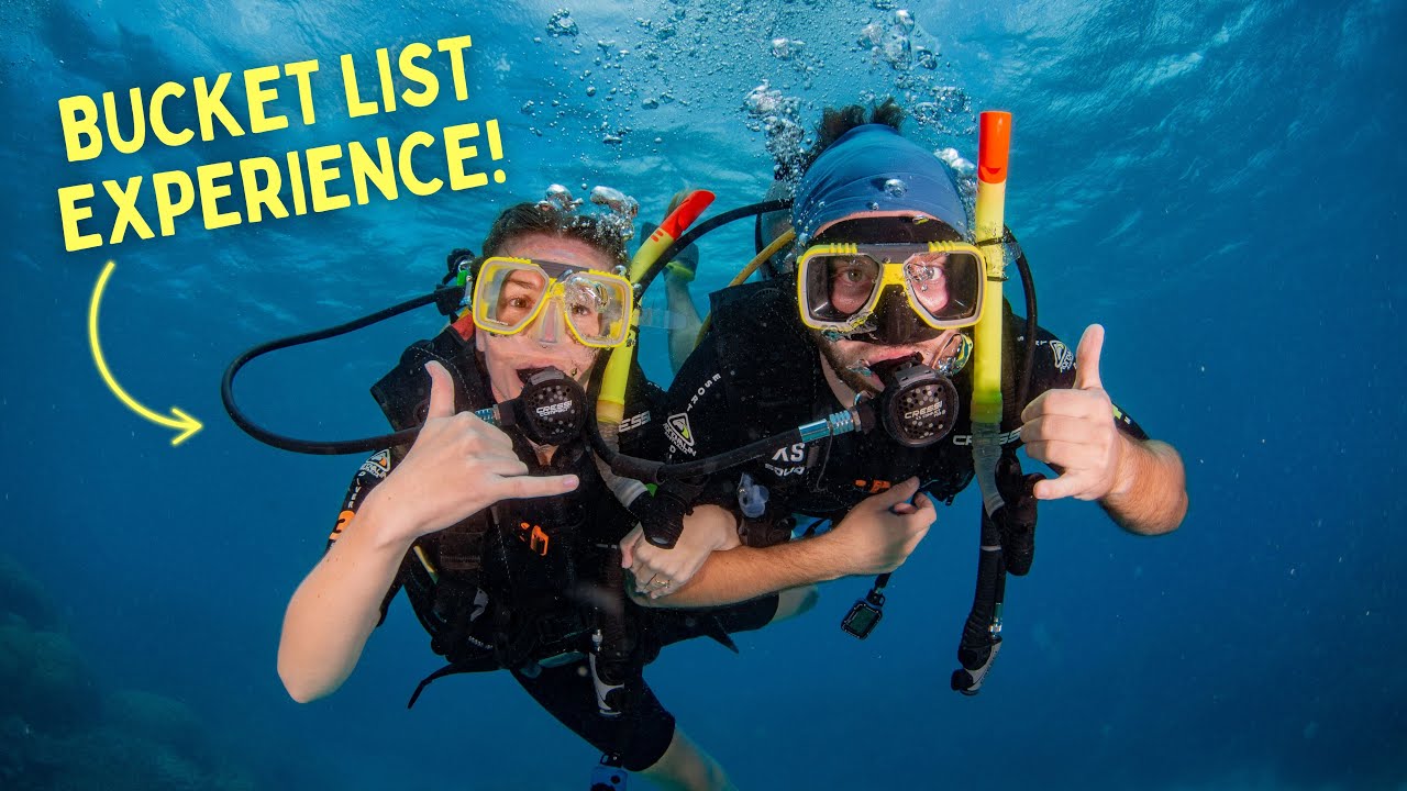 Experience trip to Great Barrier Reef with adventurers.