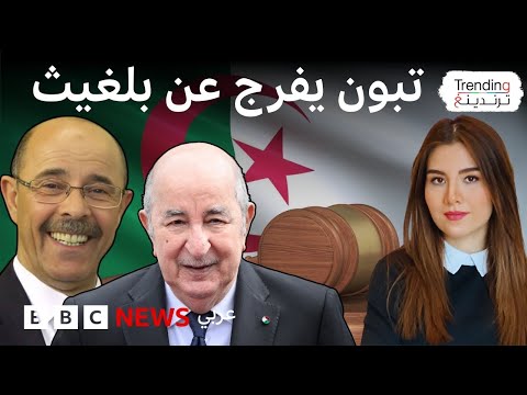 تبون يعفو عن المؤرخ الجزائري محمد الأمين بلغيث بعد سجنه بسبب تصريحات حول الأمازيغية