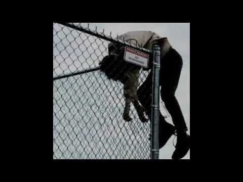 FUCKAPACHE x DEPTH STRIDA - RED DOT