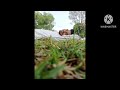 Desi Boys Hard Core Mix By DJ AATISH Sikara